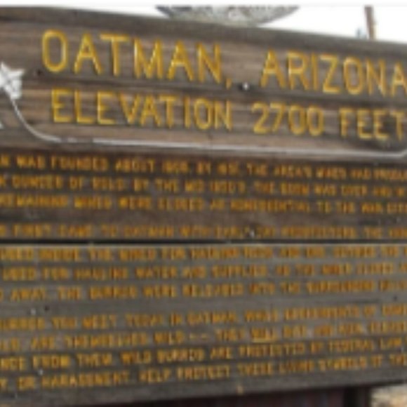 Reduced Rare Opportunity, Own A Nice Lot In Historic Oatman Arizona! Financing - Picture 5 of 12